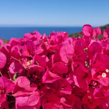 Apartment Your Paradise At Costa Brava Blanes