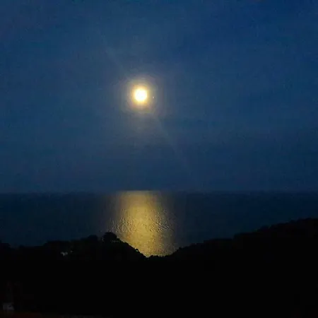 Daire Your Paradise At Costa Brava *